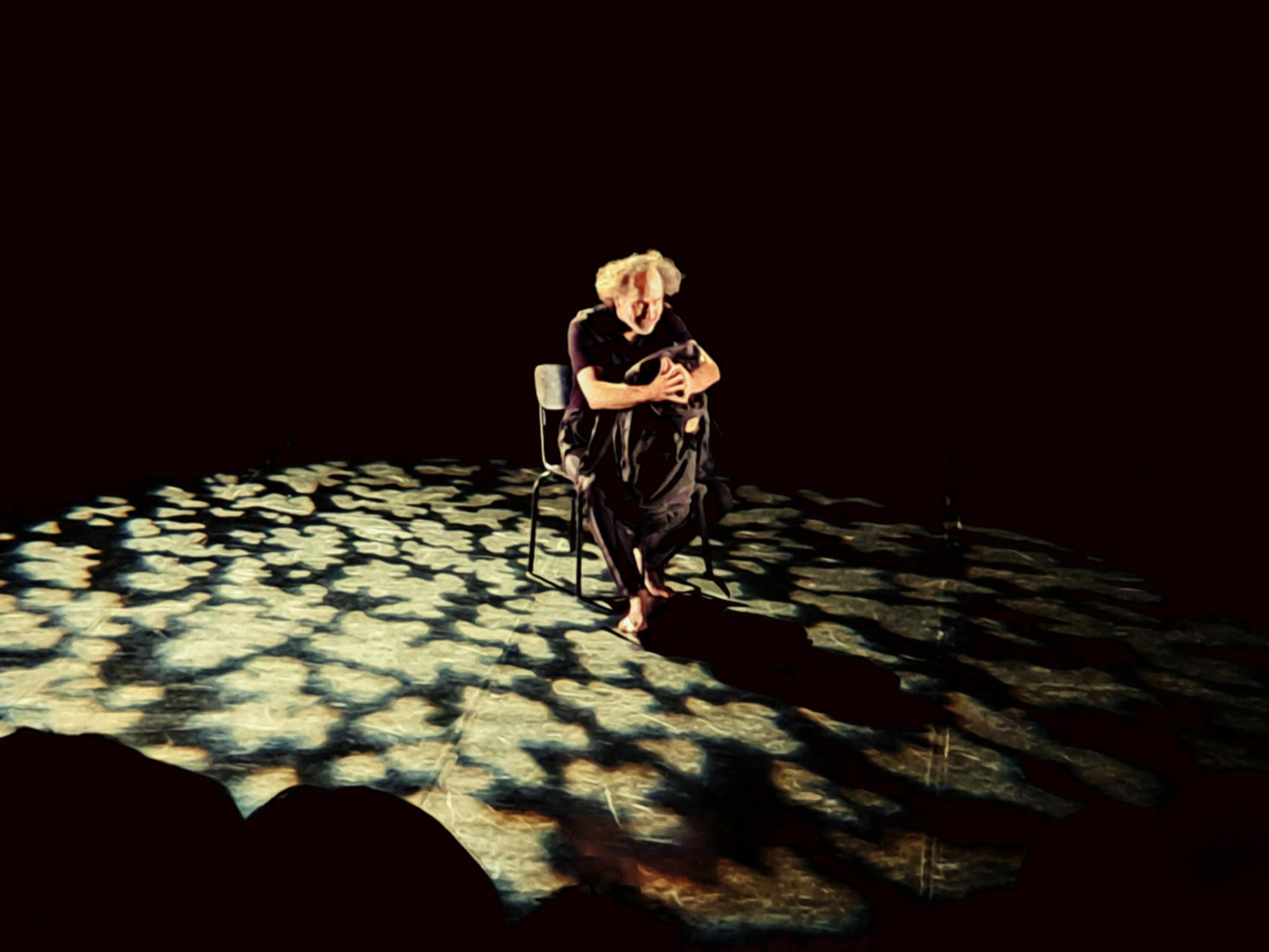 Spectacle de David Sire